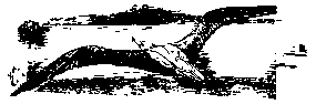 Description images/pp0049 1
