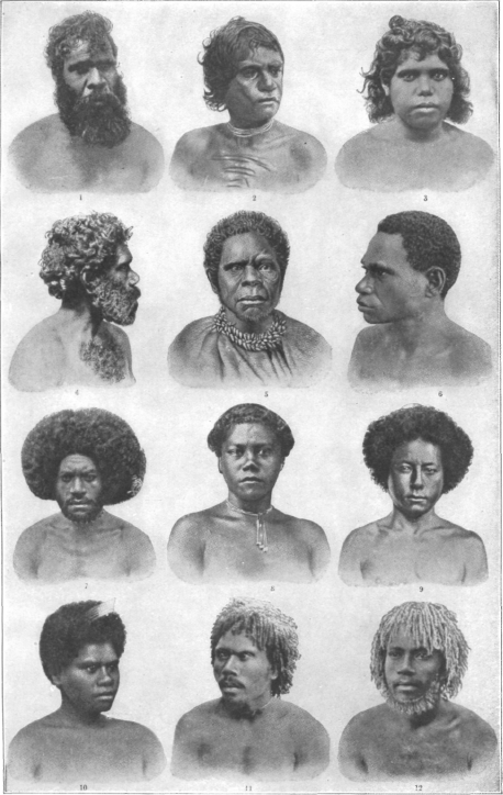 Description images/pp0170 1