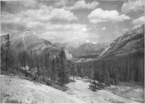 Description images/pp0355 1