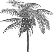 Description images/pp0458 1