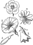 Description images/pp0500 1