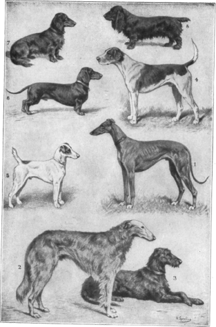 Description images/pp0582 1
