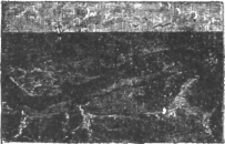 Description images/pp0584 1