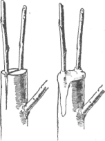 Description images/pp0244 2