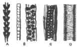 Description images/pp0280 1