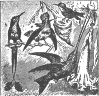 Description images/pp0367 1