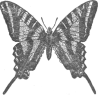 Description images/pp0399 2