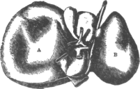 Description images/pp0576 1