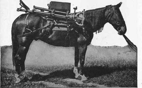 Pack Saddle for Carrying Automatic Machine Gun and Complete Equipment