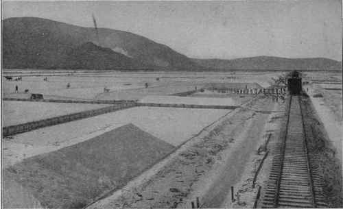 Photo by Brown Bros. SALT BEDS NEAR SALT LAKE ClTY