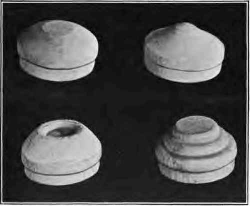 Identification plugs.