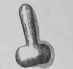 FELICITAS. EGYPTIAN PHALLI.