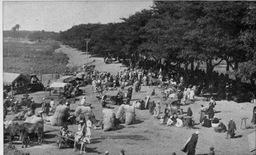 A Market Near Cairo