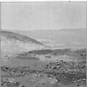 The Desert