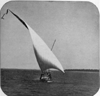 The Majestic Nile