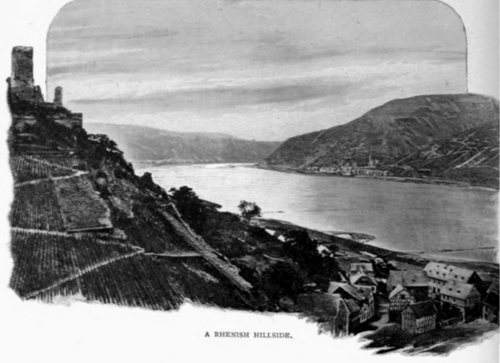 The Rhine 66