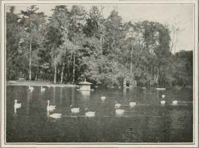 A Pond In The Palace Garden.