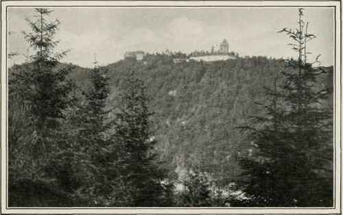Castle Of Neuhaus.