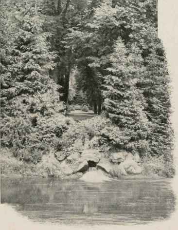 the Danube's early home in the black forest.
