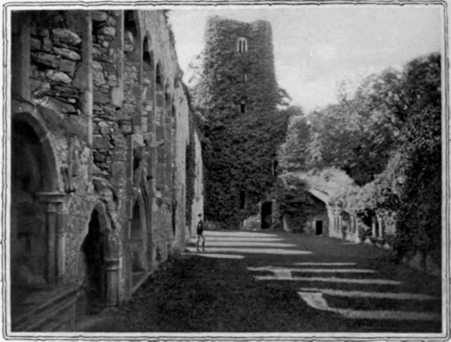 Relic of Ireland's golden age, adfert abbey