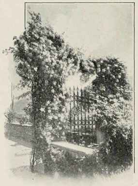 A Gate Of Glory
