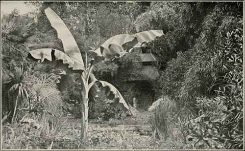 In The Park Of Villa Trotti.