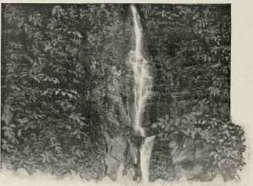 The Cascade Of Villa Pliniana.