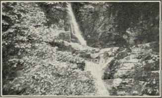 The Lower Falls.