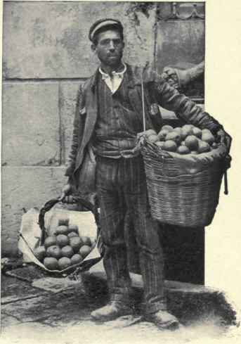 Selling Oranges In Palermo.