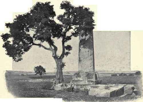 Sole Relic Of The Temple Of Olympian Jove, Near The River Anapo.