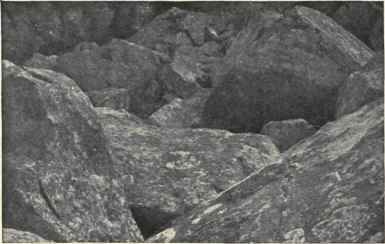 Glacial Boulders In The GR�Dner Thal.