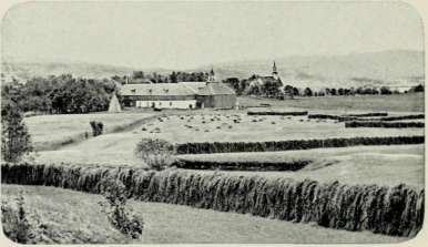A Farm Scene.