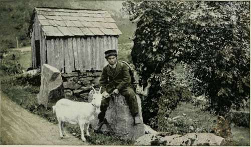 A Norwegian Youth.
