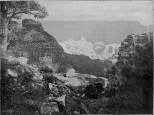 A Section Of The Labyrinth