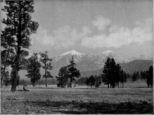 The San Francisco Mountain
