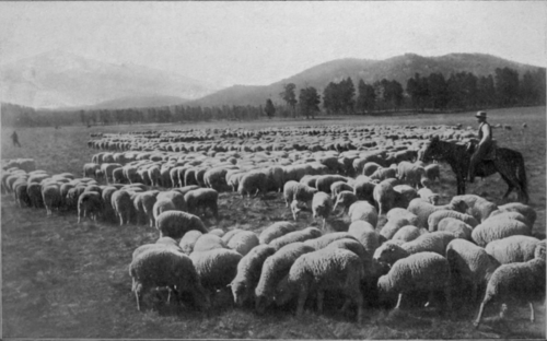A California Ranch Scene
