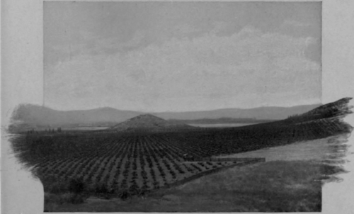 A Raisin Ranch