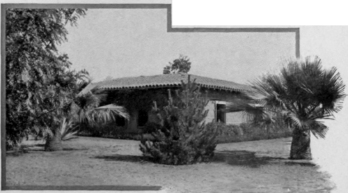 The Ideal Home