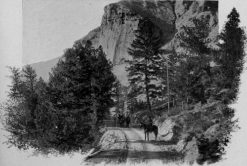 Entrance To The Park